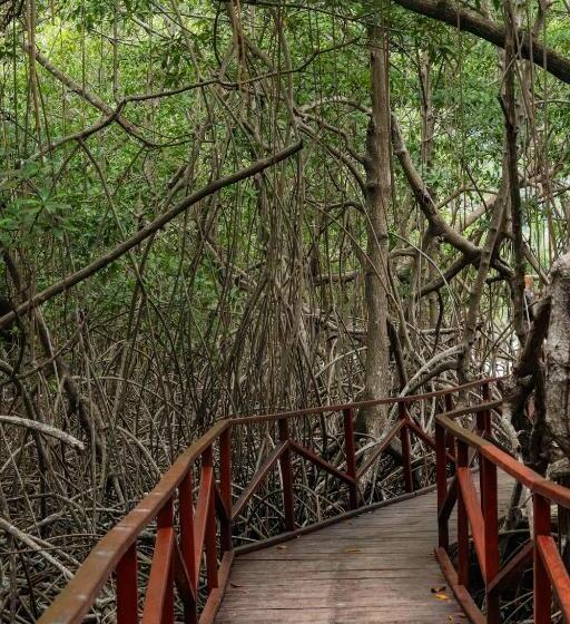 Hostel El Hongo Finca Hostal / Camping