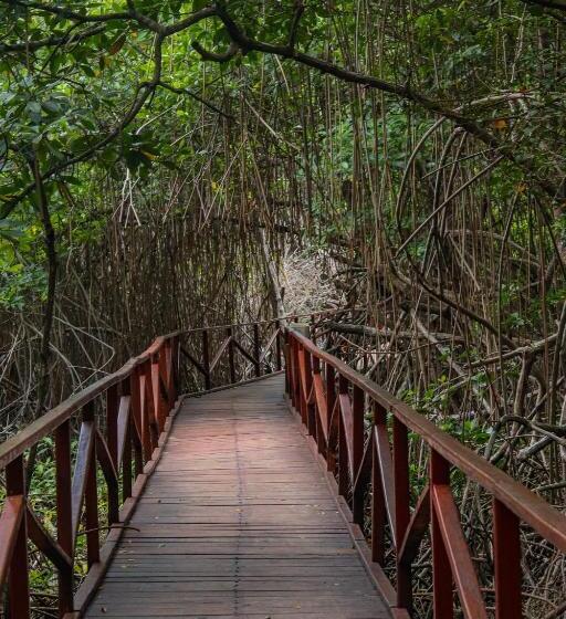 Hostel El Hongo Finca Hostal / Camping