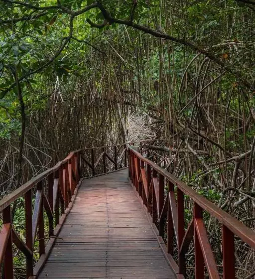 Retkeilymaja El Hongo Finca Hostal / Camping