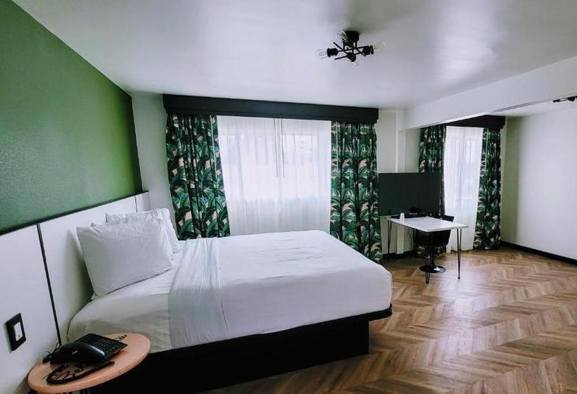 فندق صغير The Bell Vista