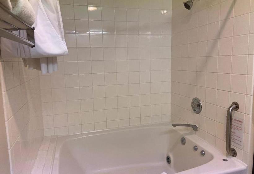 בית מלון כפרי Amerivu Inn And Suites Shawano Wi