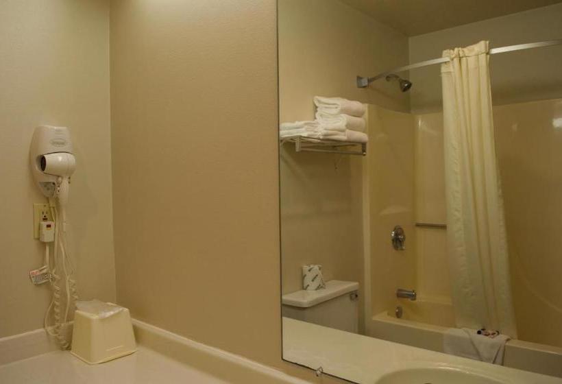 בית מלון כפרי Amerivu Inn And Suites Shawano Wi