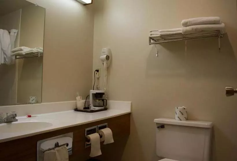 ホテル Amerivu Inn And Suites Shawano Wi