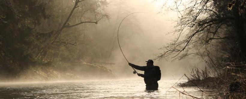 酒店 Horseshoe Riverside Lodge