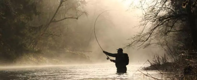 Hotelli Horseshoe Riverside Lodge