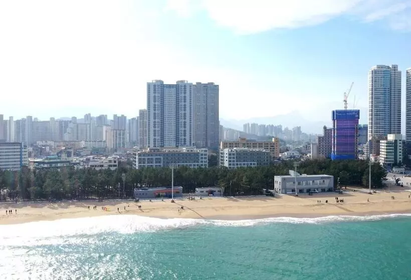 ホテル Sokcho Chonpines Beach