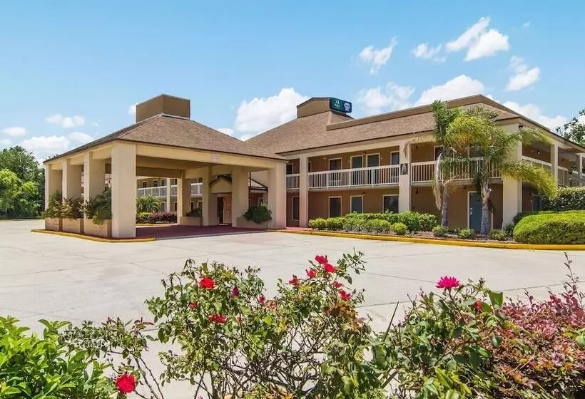 Suburban Studios Hotel Kingsland Near I 95