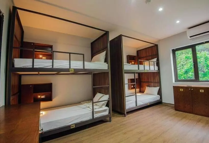 Catba Buffalo Hostel