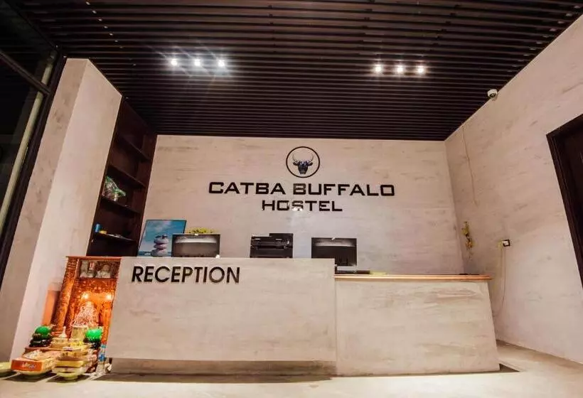 Catba Buffalo Hostel