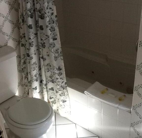 فندق Clarkeston Inn