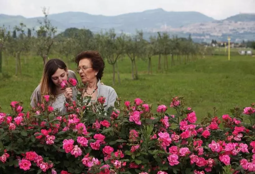 فندق Resort E Spa San Crispino