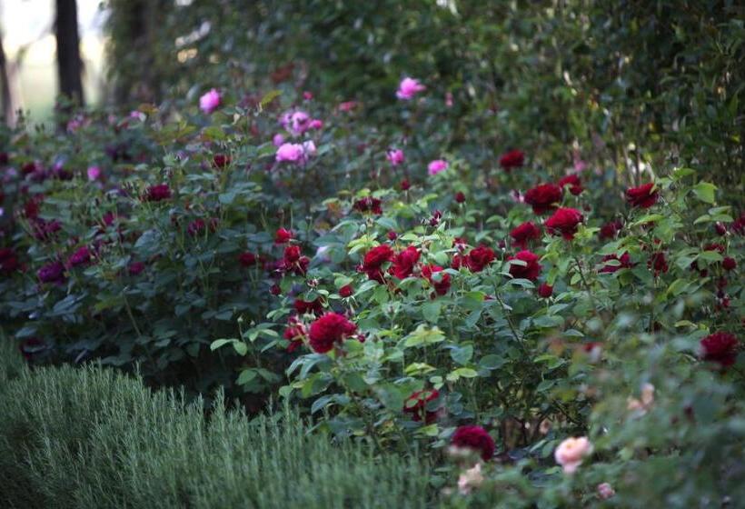 בית מלון כפרי Resort E Spa San Crispino