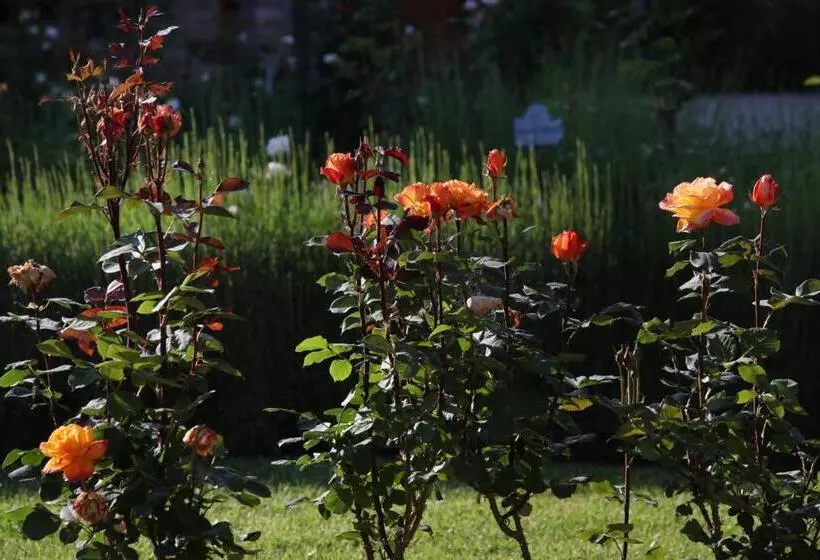 فندق Resort E Spa San Crispino