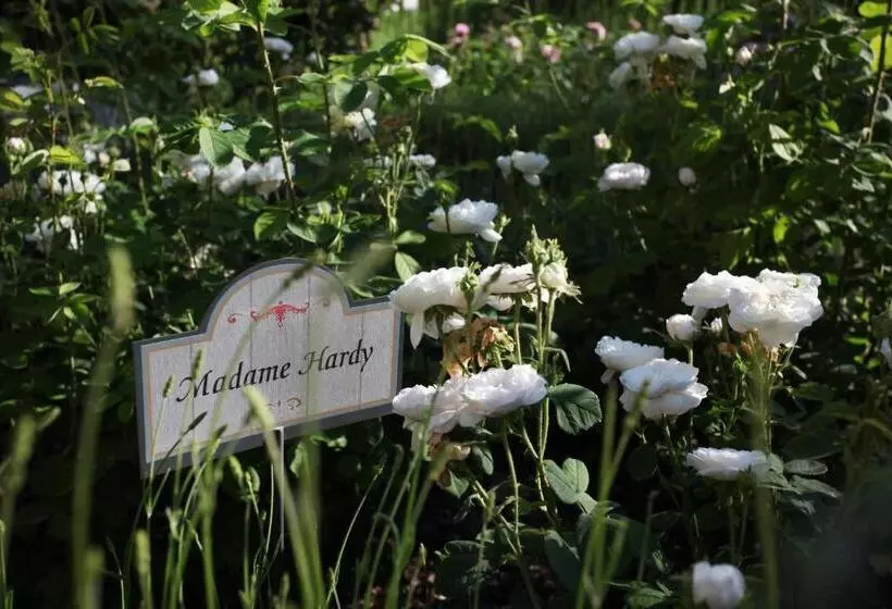 فندق Resort E Spa San Crispino