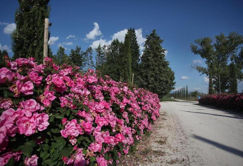 בית מלון כפרי Resort E Spa San Crispino