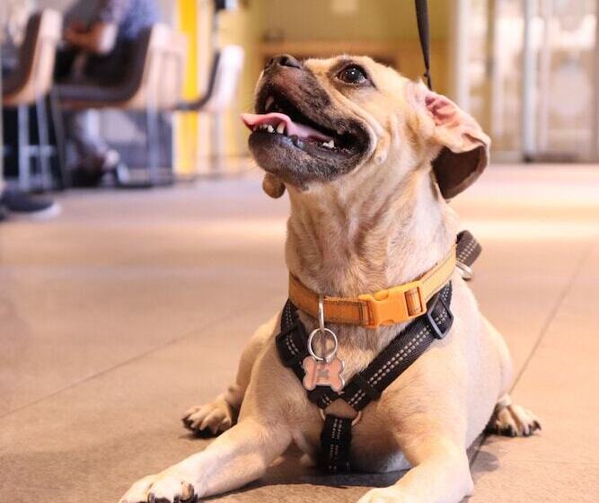 Novotel Monterrey Valle