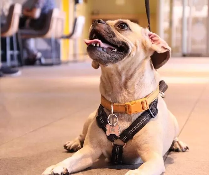 Novotel Monterrey Valle