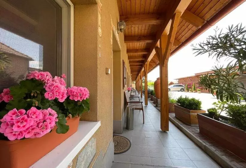 ベッドアンドブレックファースト Vadvirág Vendéglő és Panzió