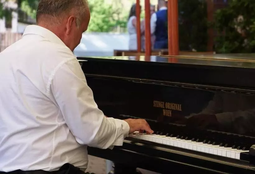 ベッドアンドブレックファースト Vadvirág Vendéglő és Panzió