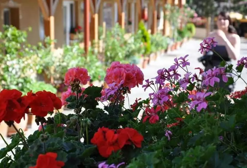 ベッドアンドブレックファースト Vadvirág Vendéglő és Panzió