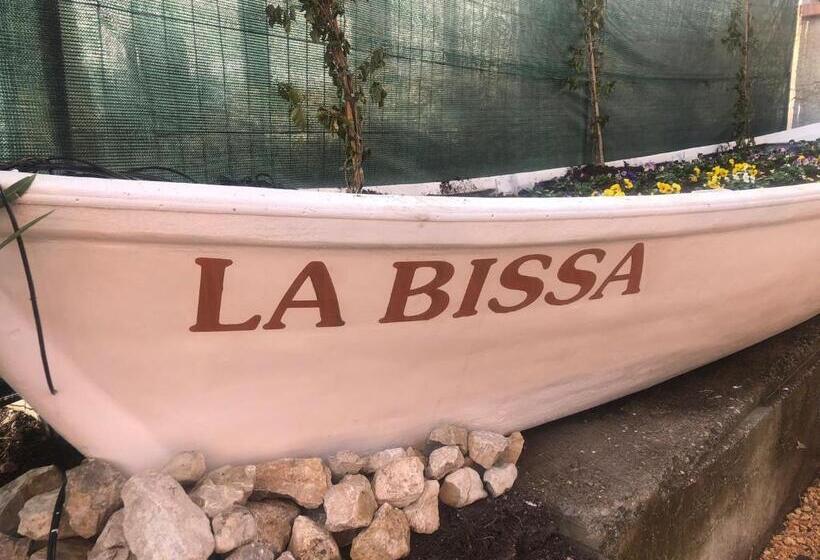 Отель Antica Campione Rooms & Hostel