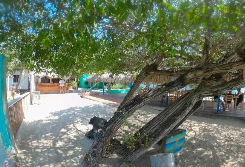 ホテル Isla Los Erizos Ecohouse