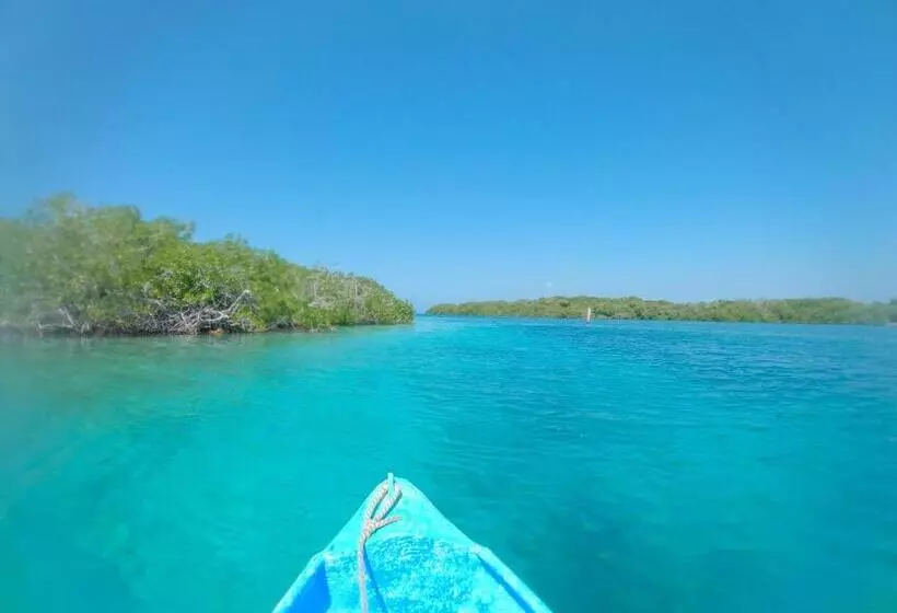 ホテル Isla Los Erizos Ecohouse