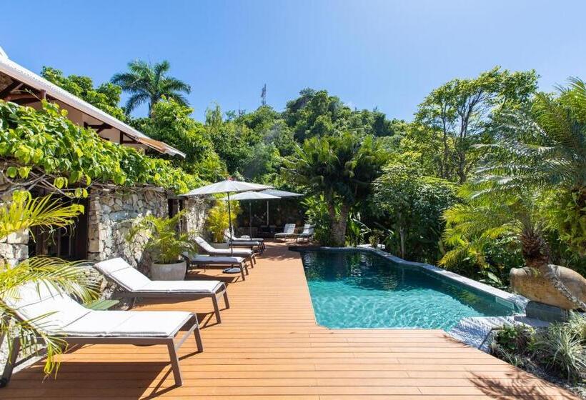 هتل The Paradise Peak Adults Only