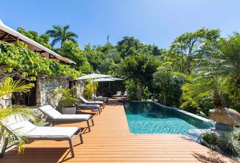 هتل The Paradise Peak Adults Only