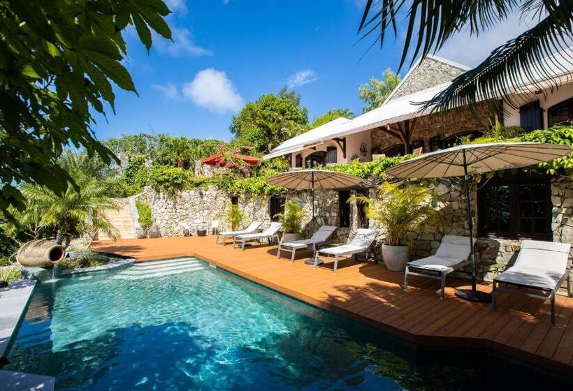 هتل The Paradise Peak Adults Only