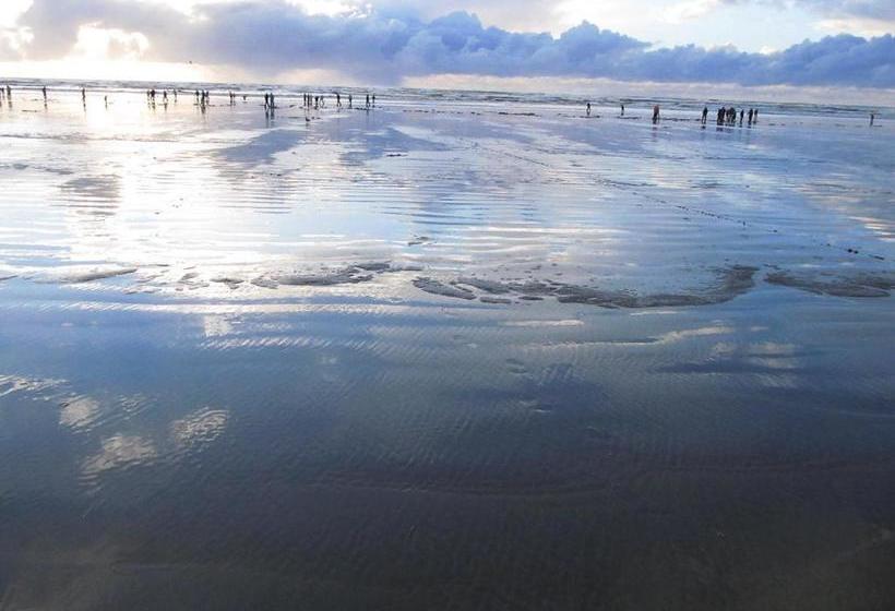 Pacific Motel And Rv