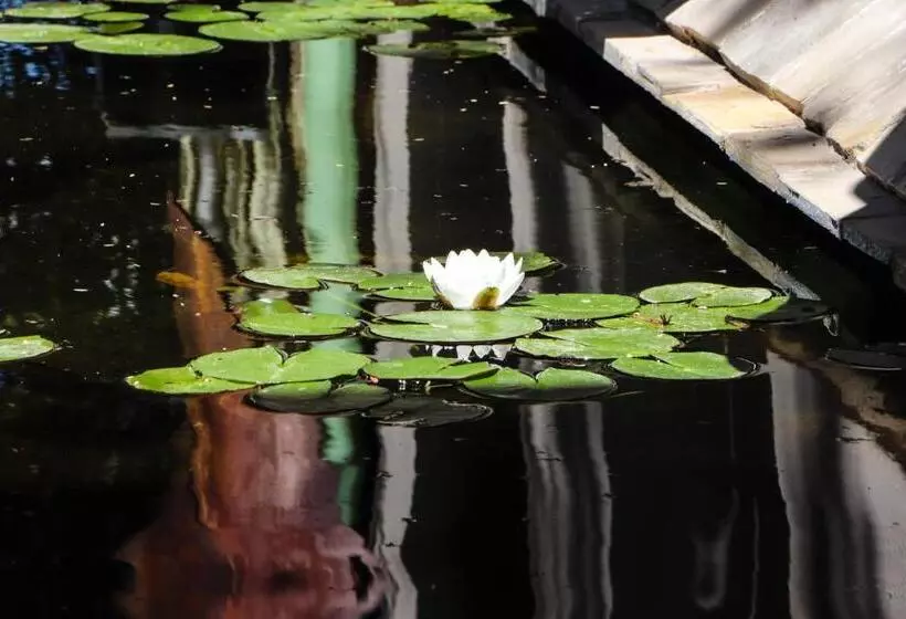 پانسیون Aps Guesthouse