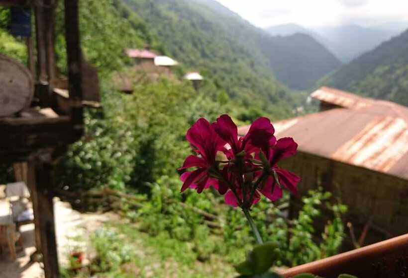 پانسیون Demircioğlu Konağı