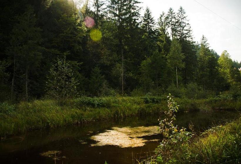 Pensão Kryvorizka Palanka