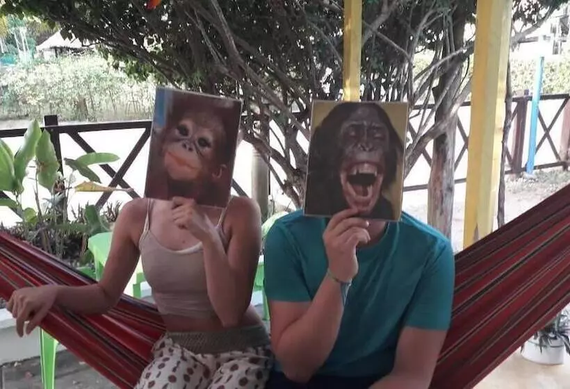 ペンション La Casa Mono Cuco Hostel