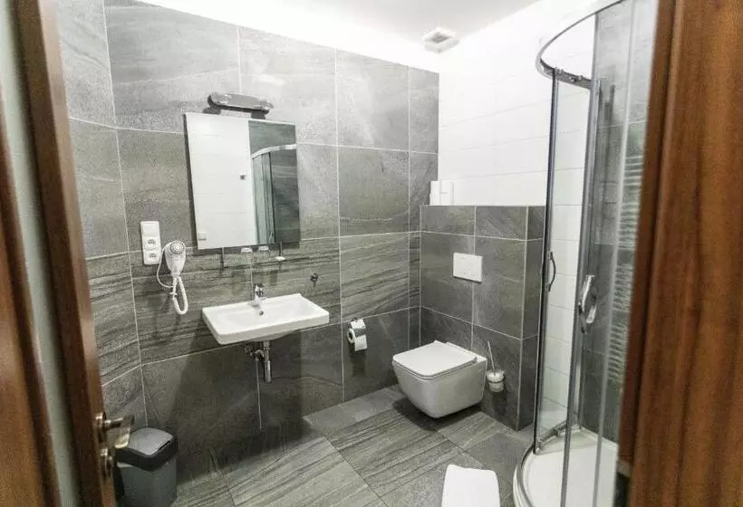 ペンション Penzion Královské Lázně