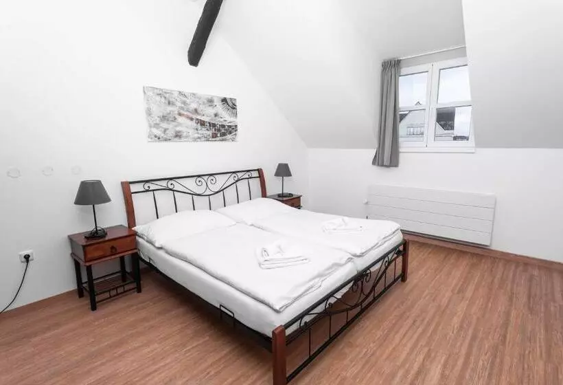 ペンション Penzion Královské Lázně