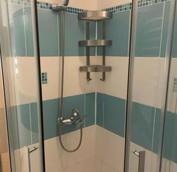 ペンション Penzion Královské Lázně