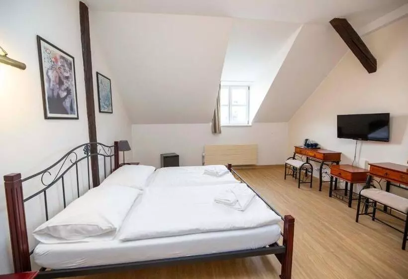 ペンション Penzion Královské Lázně