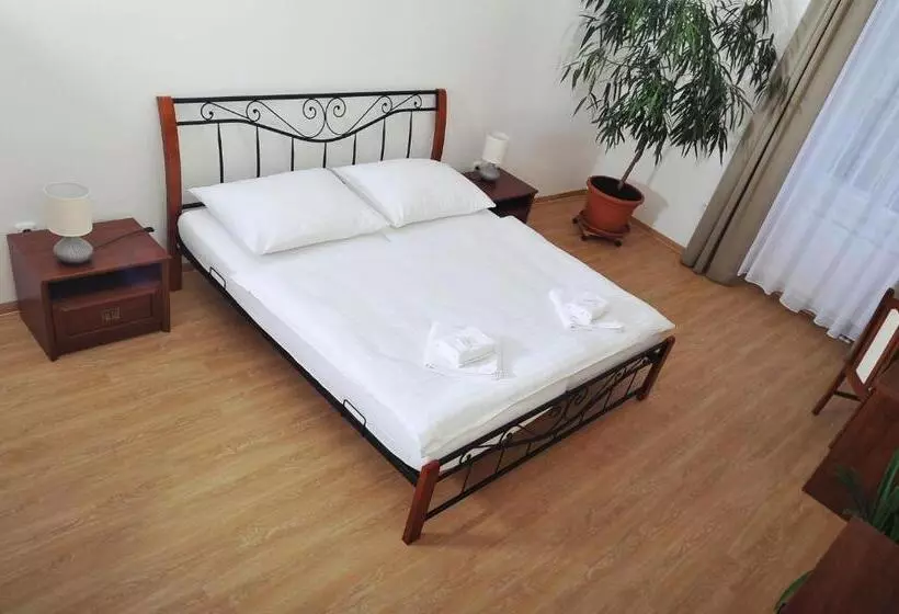 ペンション Penzion Královské Lázně