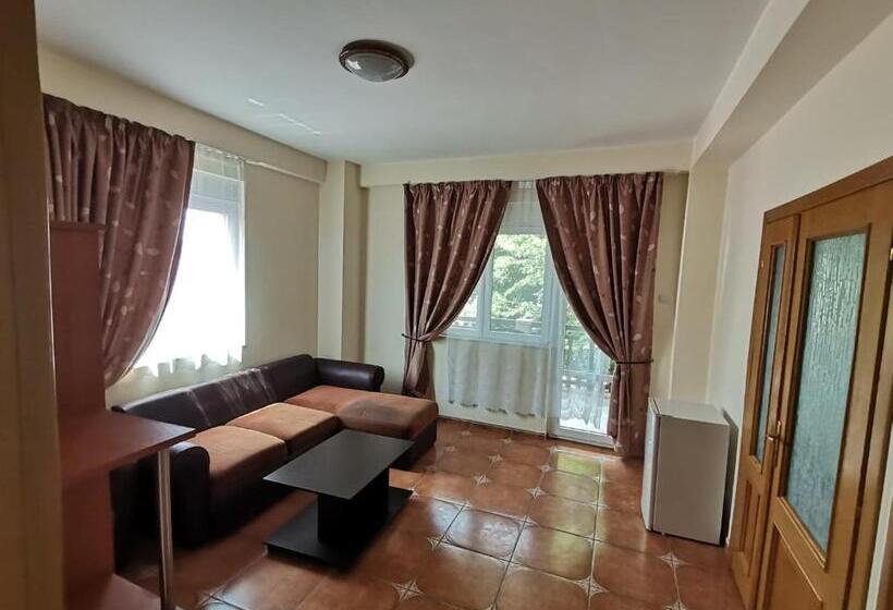 پانسیون Vila Cristal Costinesti