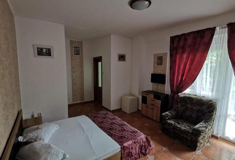 پانسیون Vila Cristal Costinesti