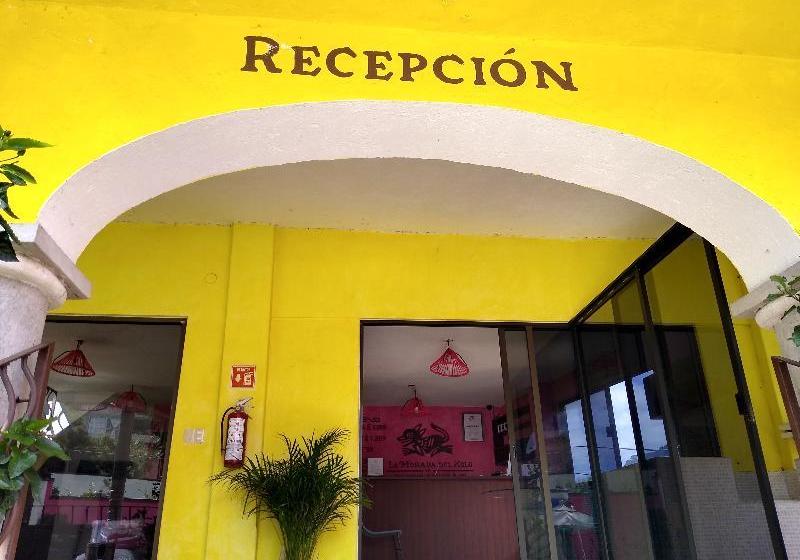 酒店 La Morada Del Xolo By Oyo Rooms