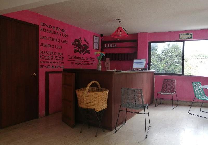 酒店 La Morada Del Xolo By Oyo Rooms