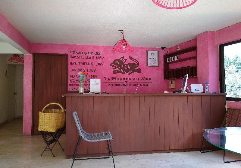 酒店 La Morada Del Xolo By Oyo Rooms