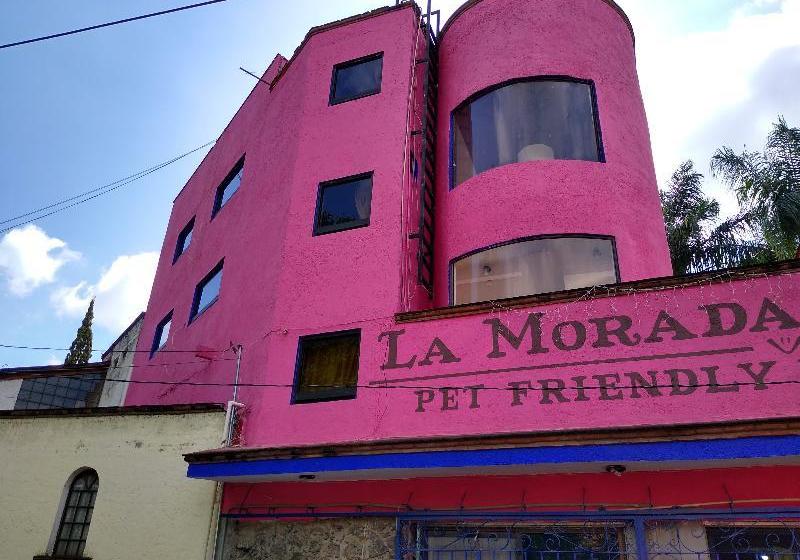 酒店 La Morada Del Xolo By Oyo Rooms