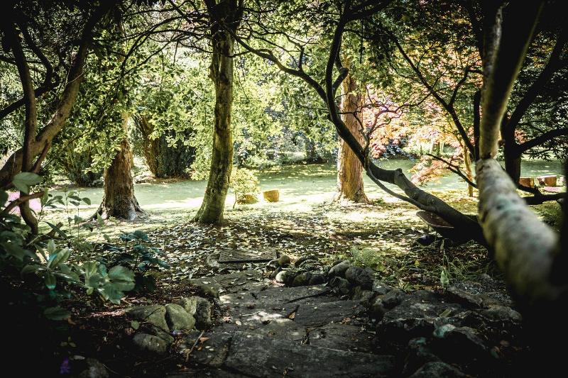 Gwern Borter Manor Bed & Breakfast