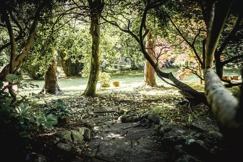 Gwern Borter Manor Bed & Breakfast