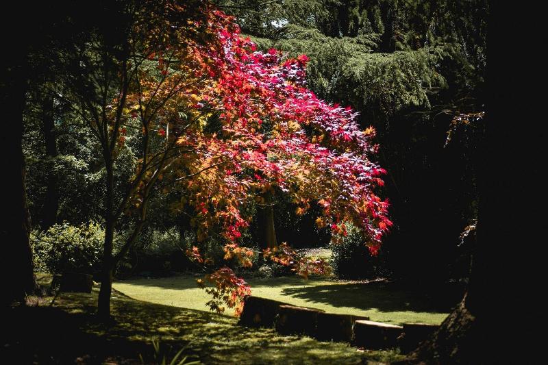 Gwern Borter Manor Bed & Breakfast