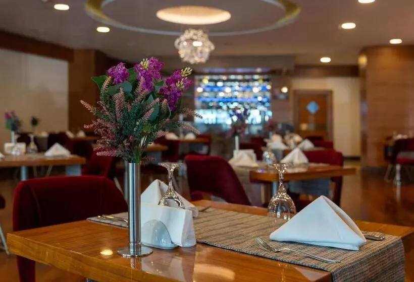 Hotelli Ankara Plaza